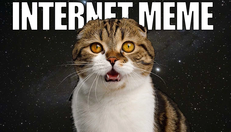 Internet memes can lead teens to fame, good fortune