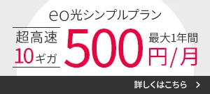 eo光シンプルプラン 超高速10ギガ 最大1年間500円/月