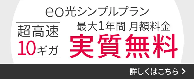 eo光シンプルプラン 超高速10ギガ 最大1年間500円/月